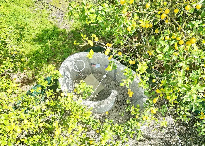 Lemon Garden Camper Hanya