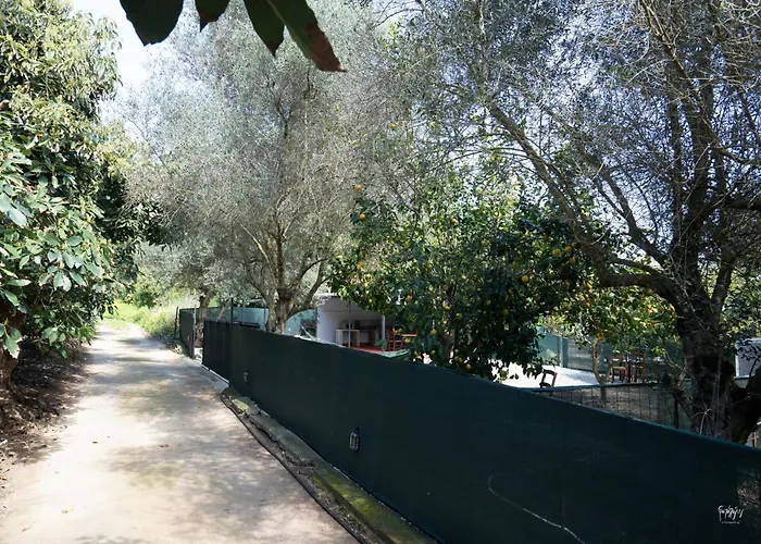 Tatil Evi Lemon Garden Camper Hanya