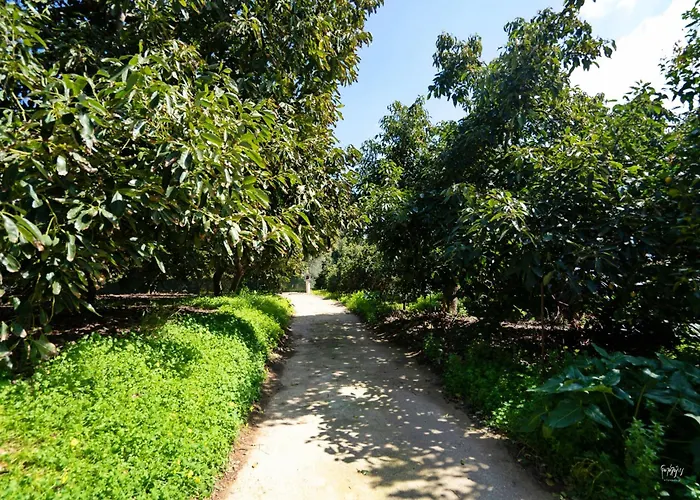 Дом отдыха Lemon Garden Camper