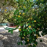 Lemon Garden Camper * 하니아
