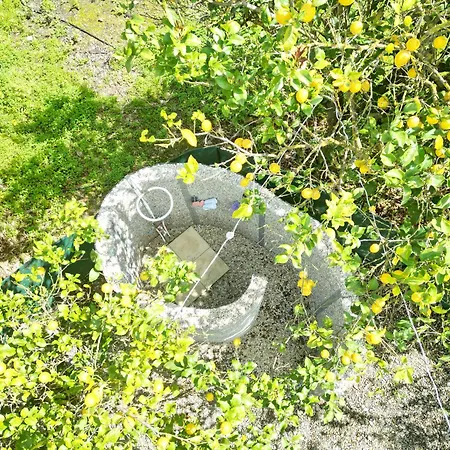 Lemon Garden Camper Hriszí Aktí Haniá