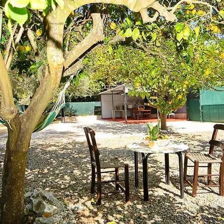 Lemon Garden Camper Hriszí Aktí Haniá