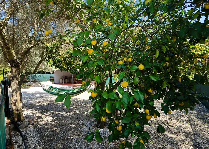 Lemon Garden Camper * Hriszí Aktí Haniá